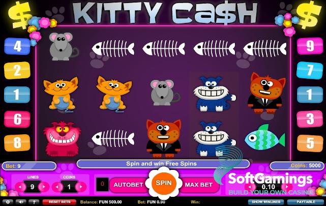 Kitty Cash