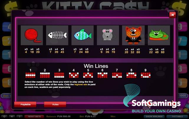 Kitty Cash
