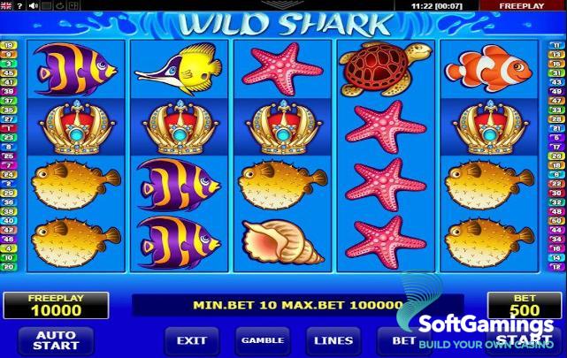 Wild Shark