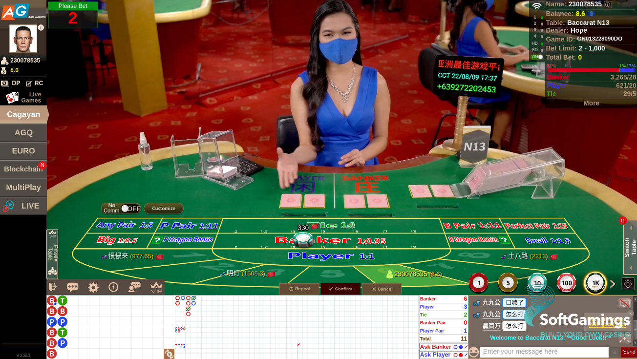 CGY Baccarat N13