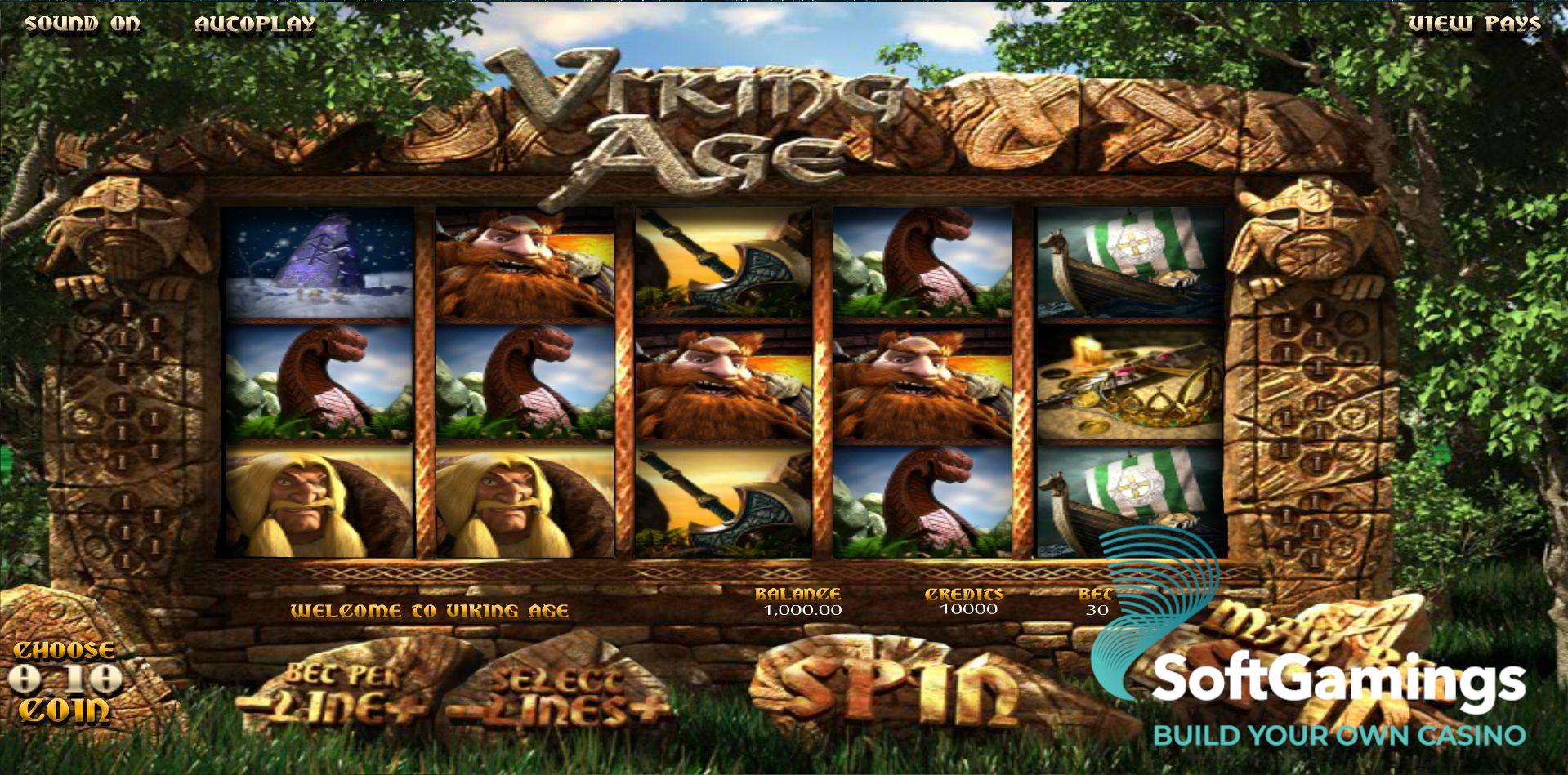 Viking Age