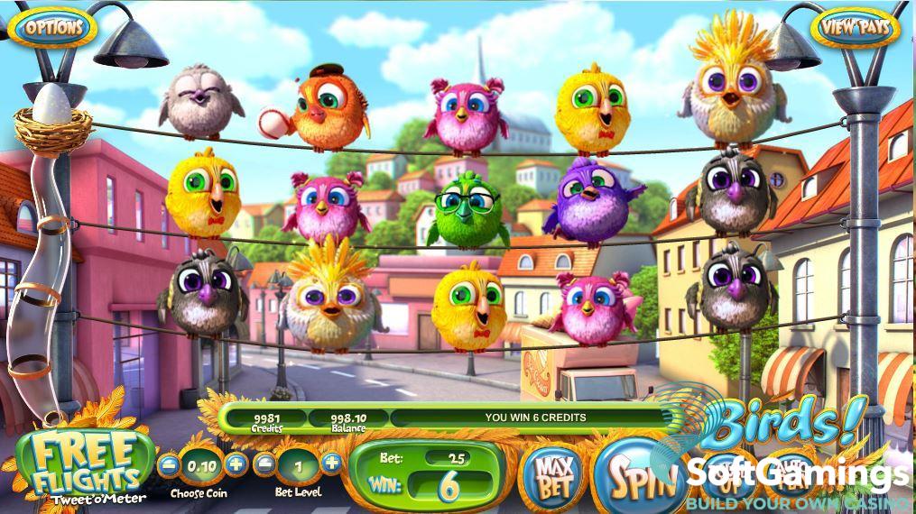 Birds