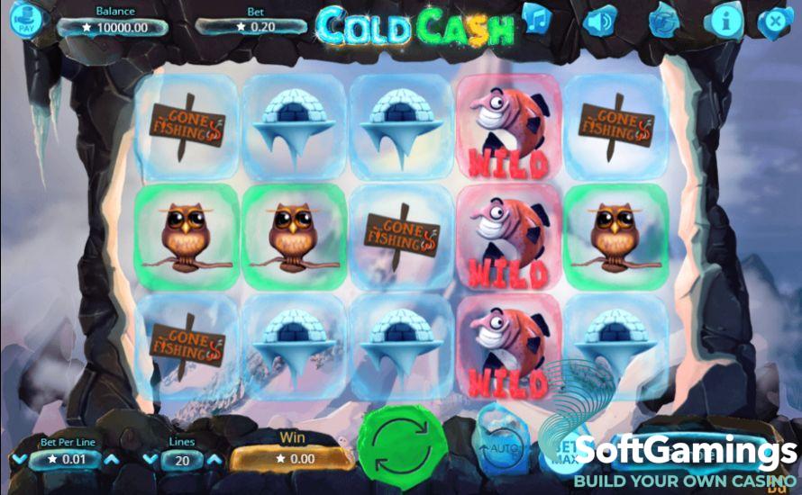 Cold Cash