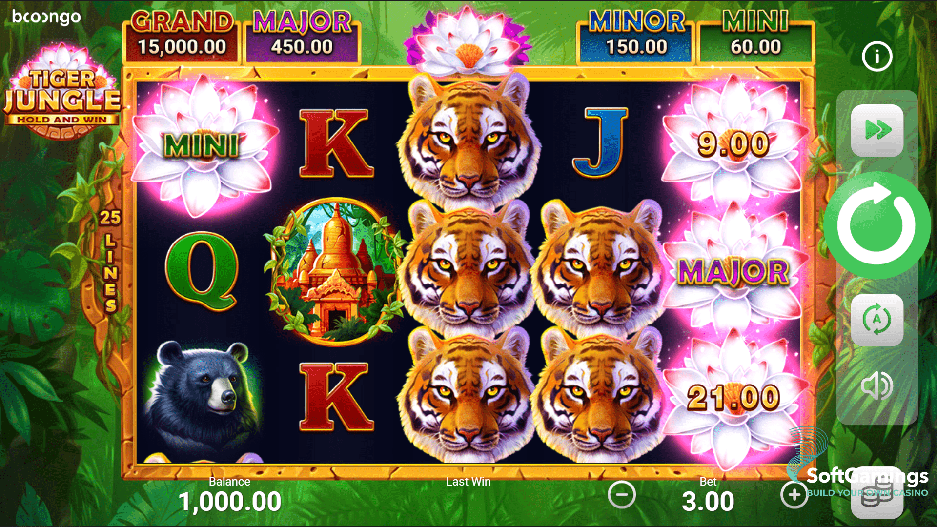 Tiger Jungle