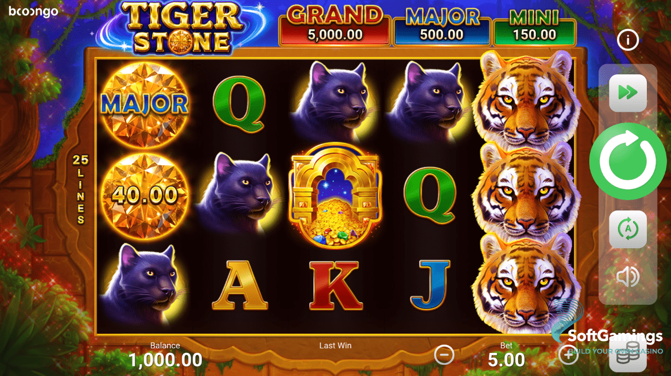 Tiger Stone: Hold and Win