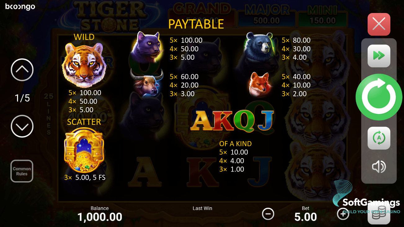 Tiger Stone: Hold and Win