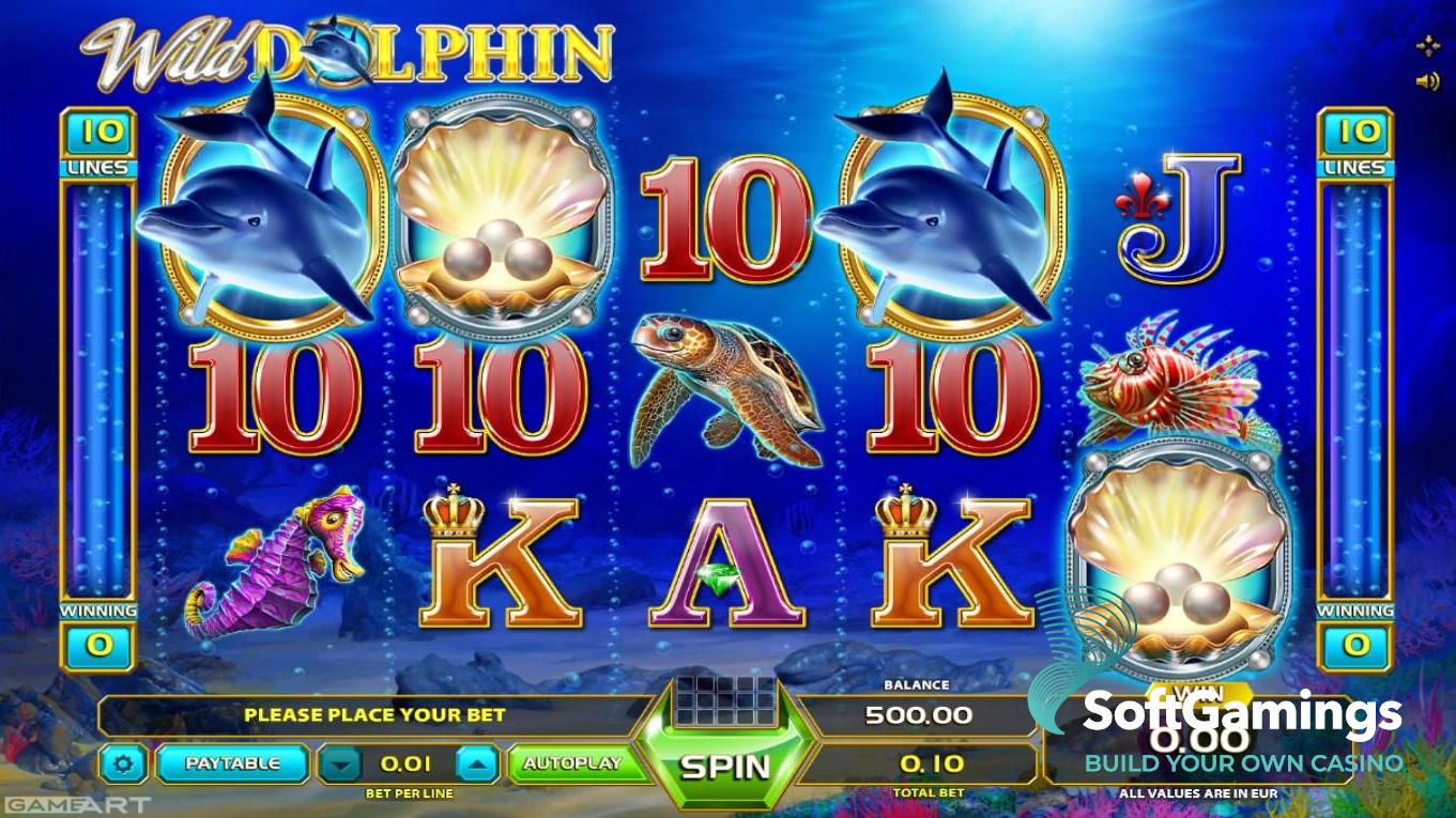 Wild Dolphin