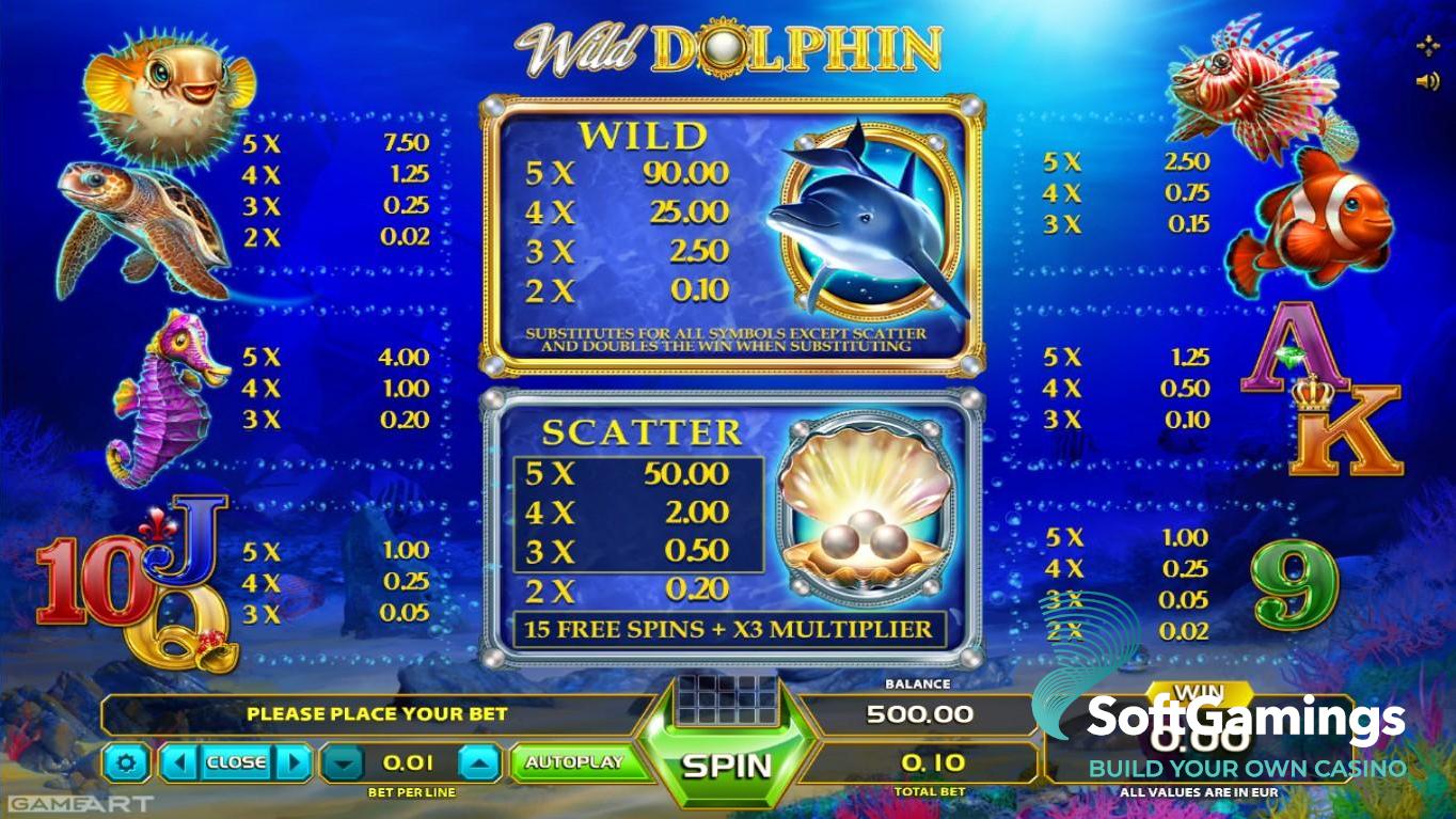 Wild Dolphin