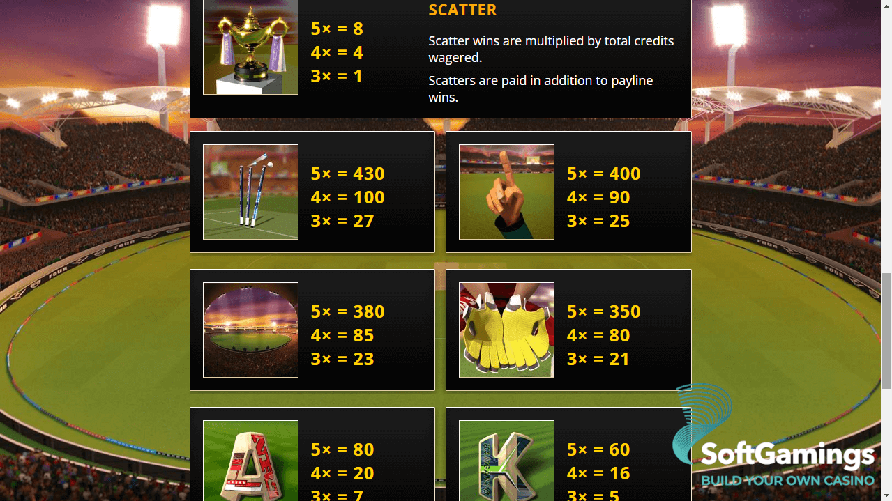 Cricket Fever