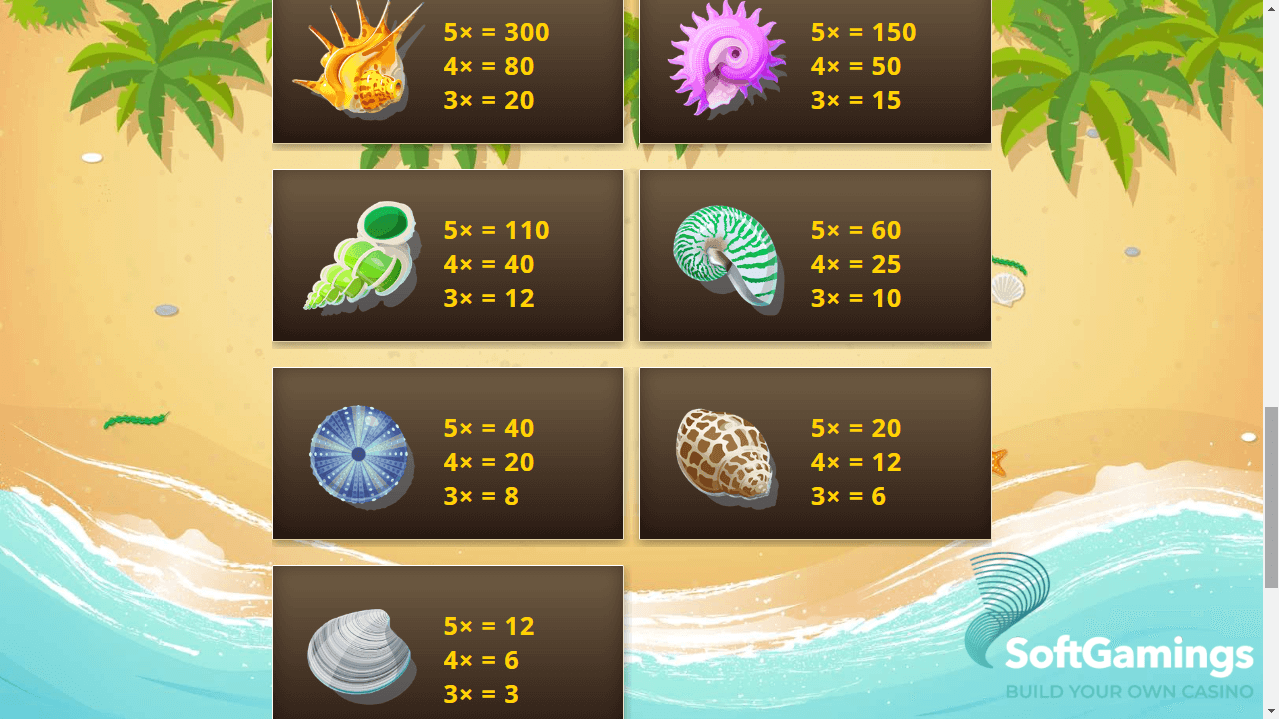 Shells ‘n Swells