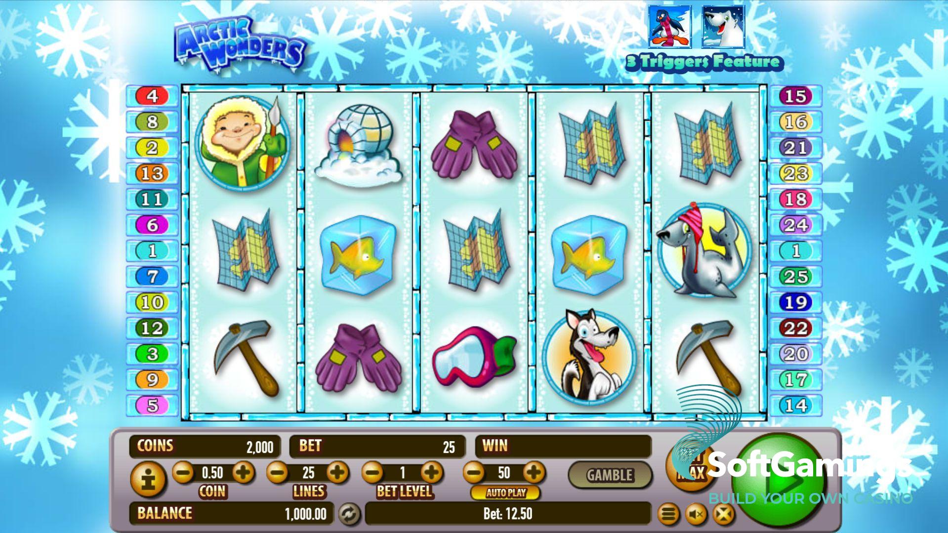 Arctic Wonders