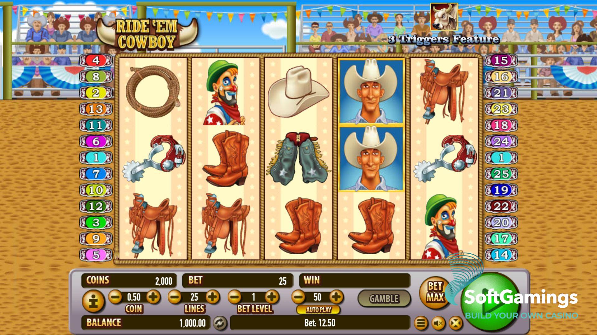 Ride 'em Cowboy