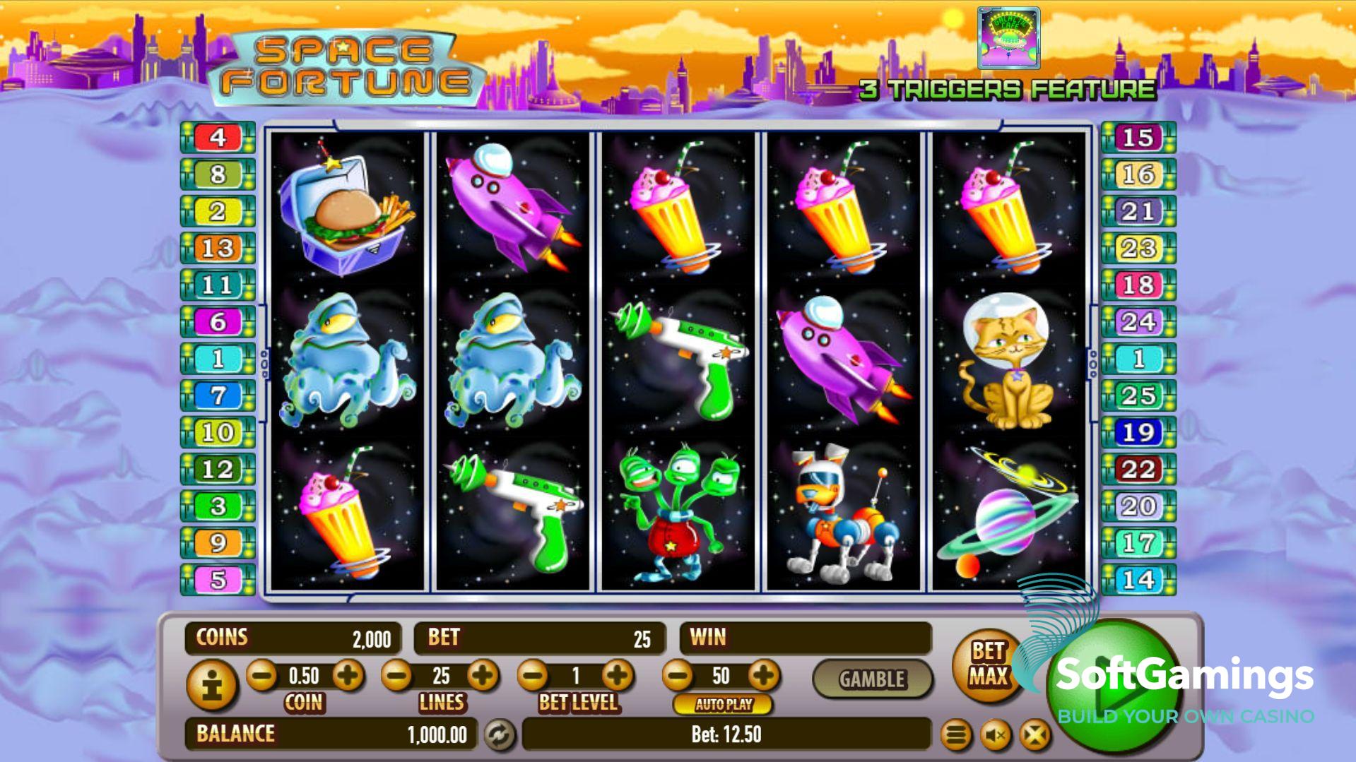 Space Fortune