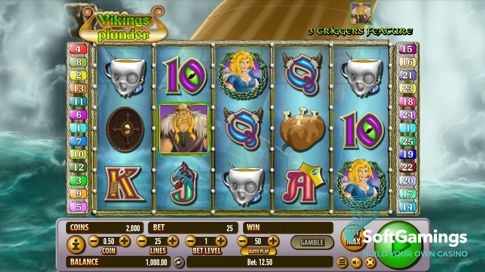 Viking's Plunder
