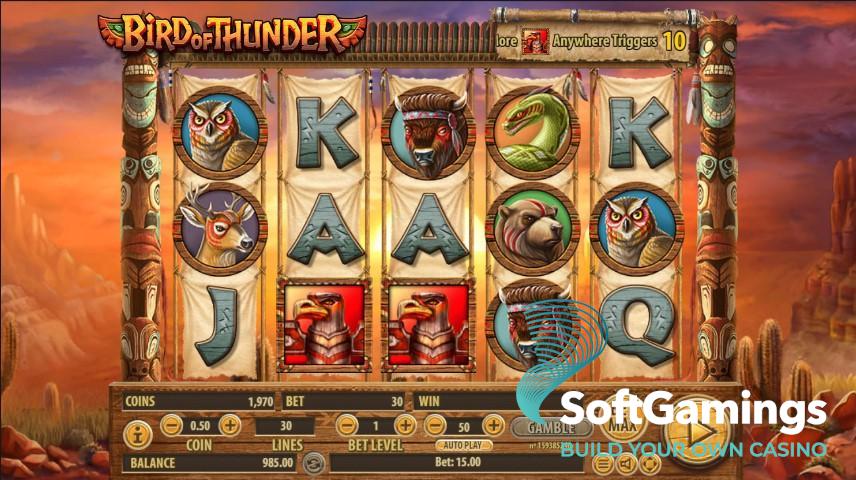 Bird of Thunder