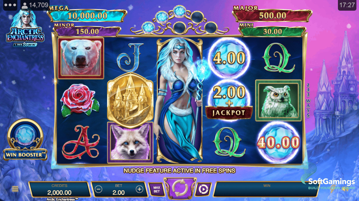 Arctic Enchantress