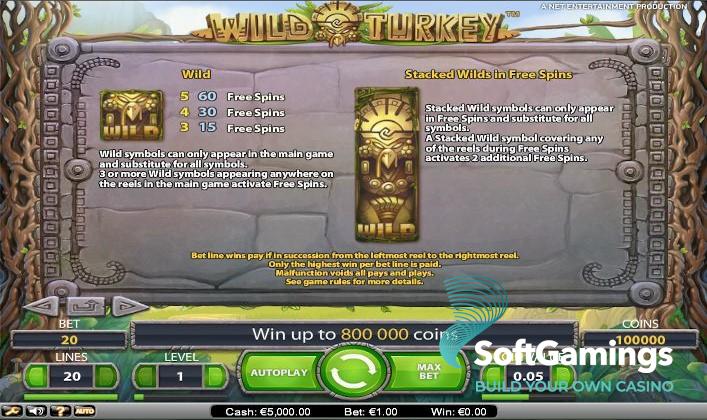 Wild Turkey