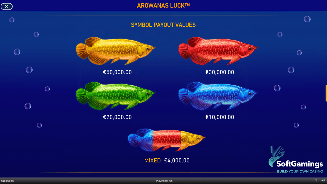 Arowanas Luck
