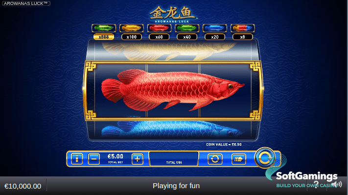Arowanas Luck