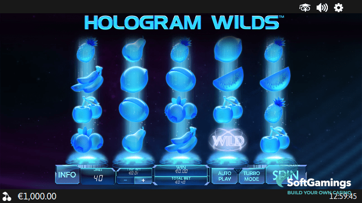 Hologram Wilds