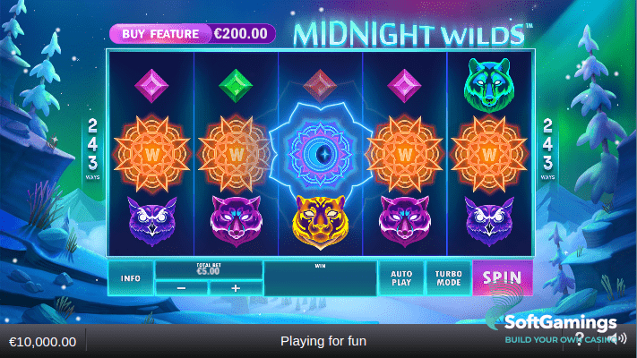 Midnight Wild