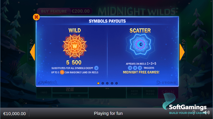 Midnight Wild
