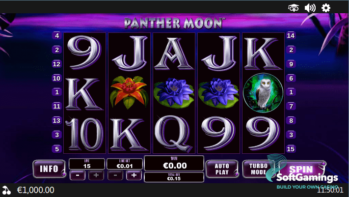 Panther Moon