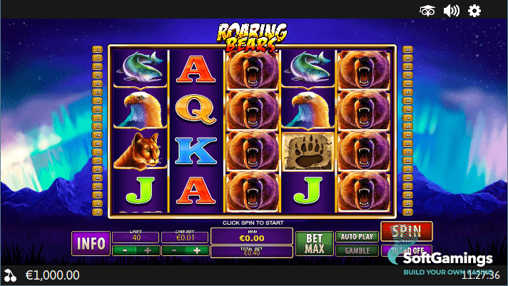 Roaring Bears