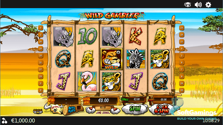 Wild Gambler