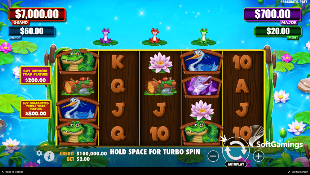 Tiny Toads