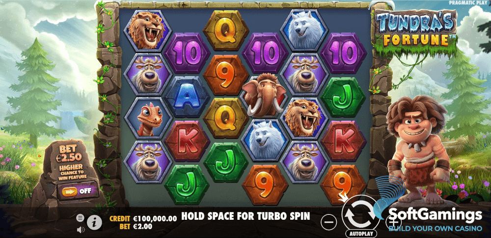 Tundra's Fortune