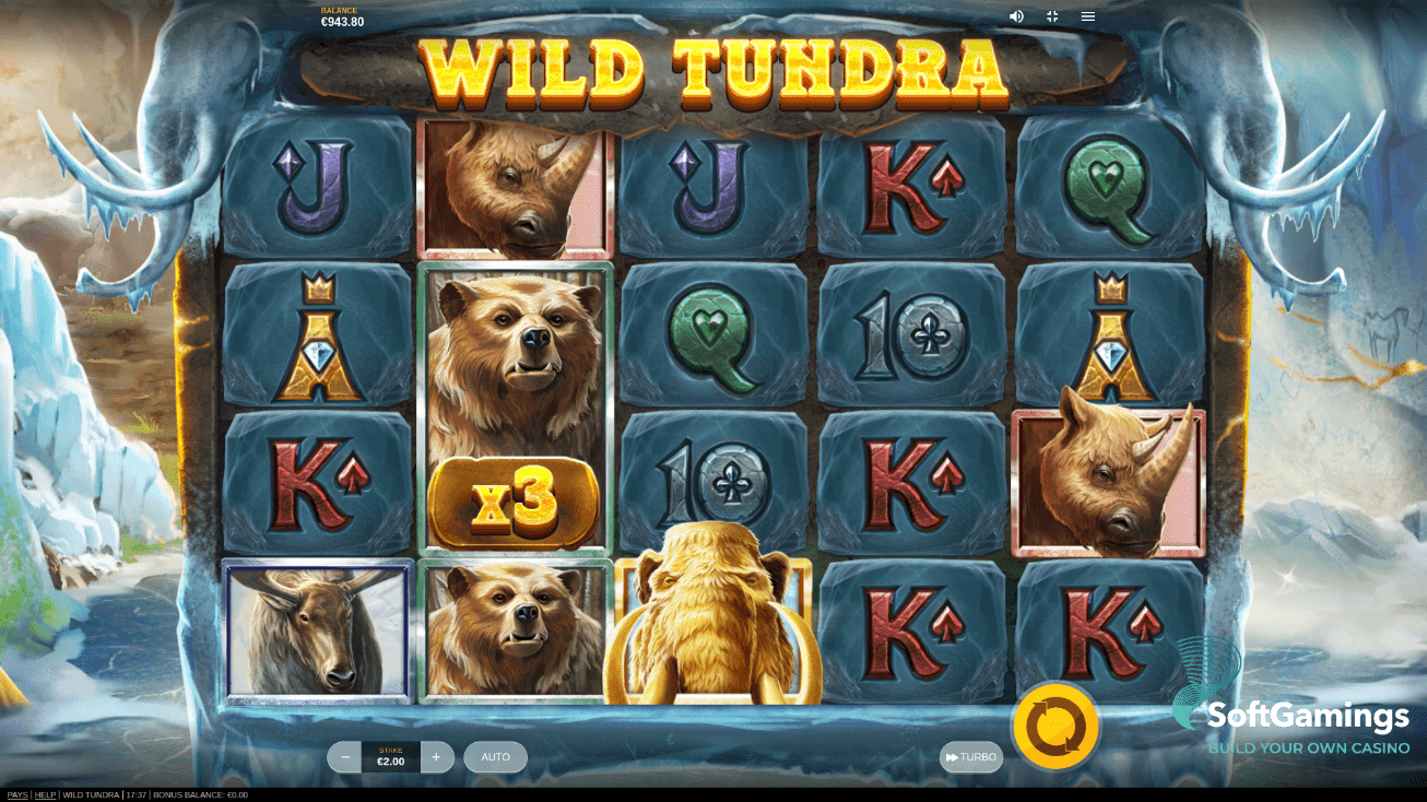 Wild Tundra