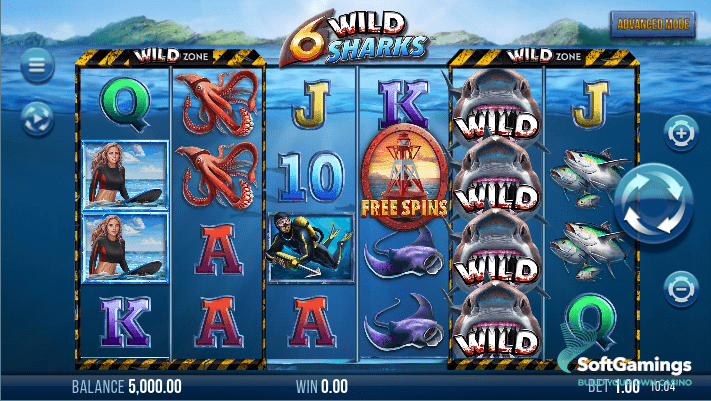 6 Wild Sharks