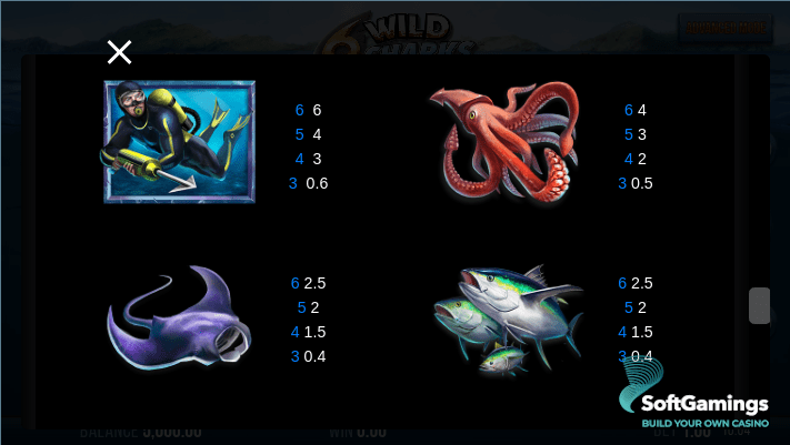 6 Wild Sharks