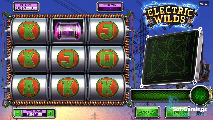 Electric Wilds