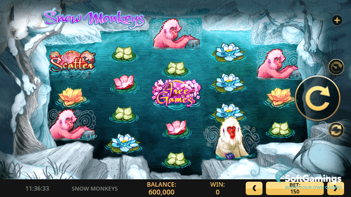 Snow Monkeys