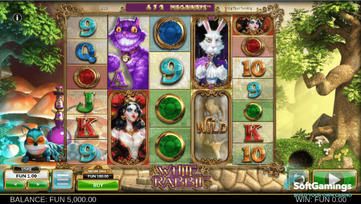 White Rabbit