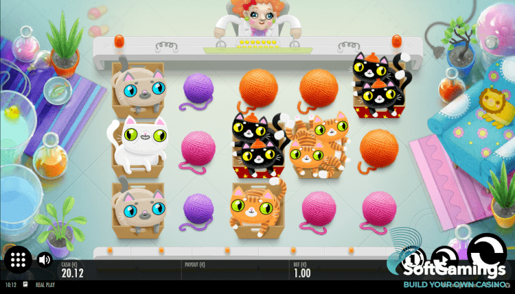 Not Enough Kittens