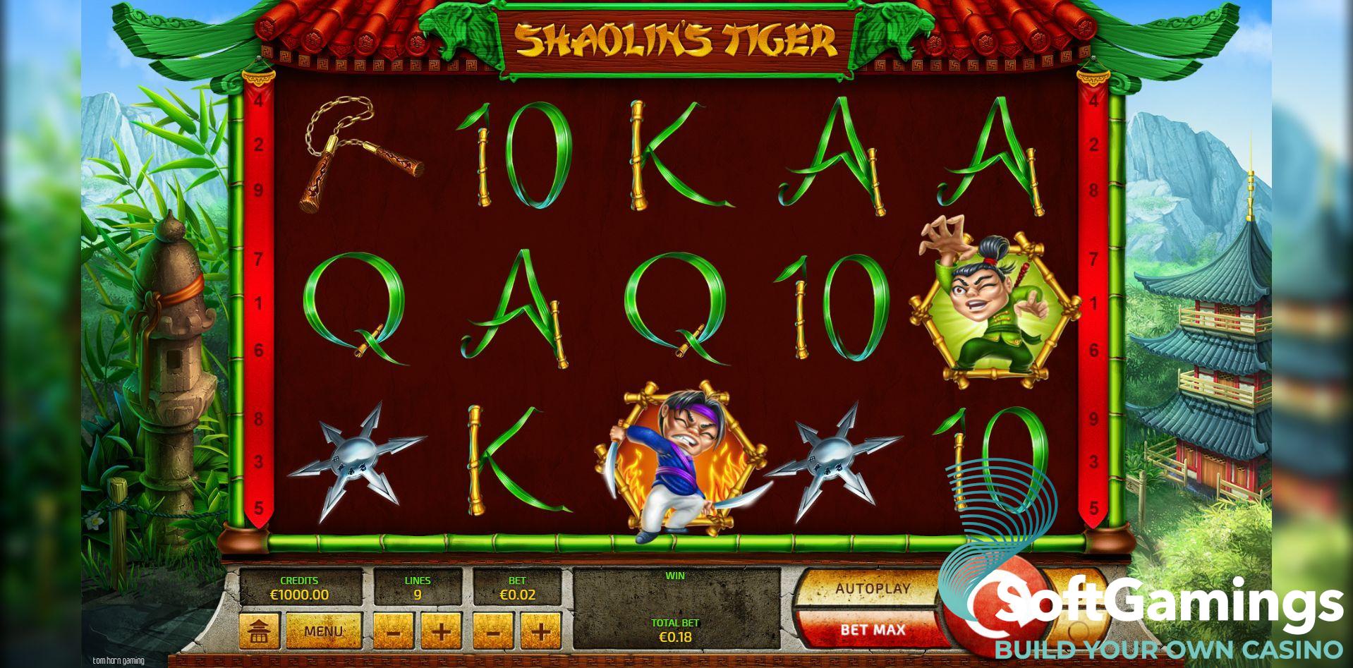 Shaolin's Tiger