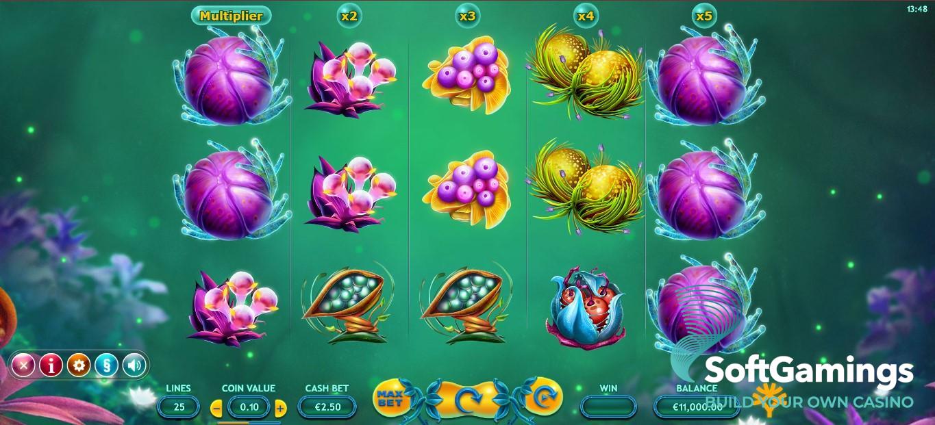 Fruitoids