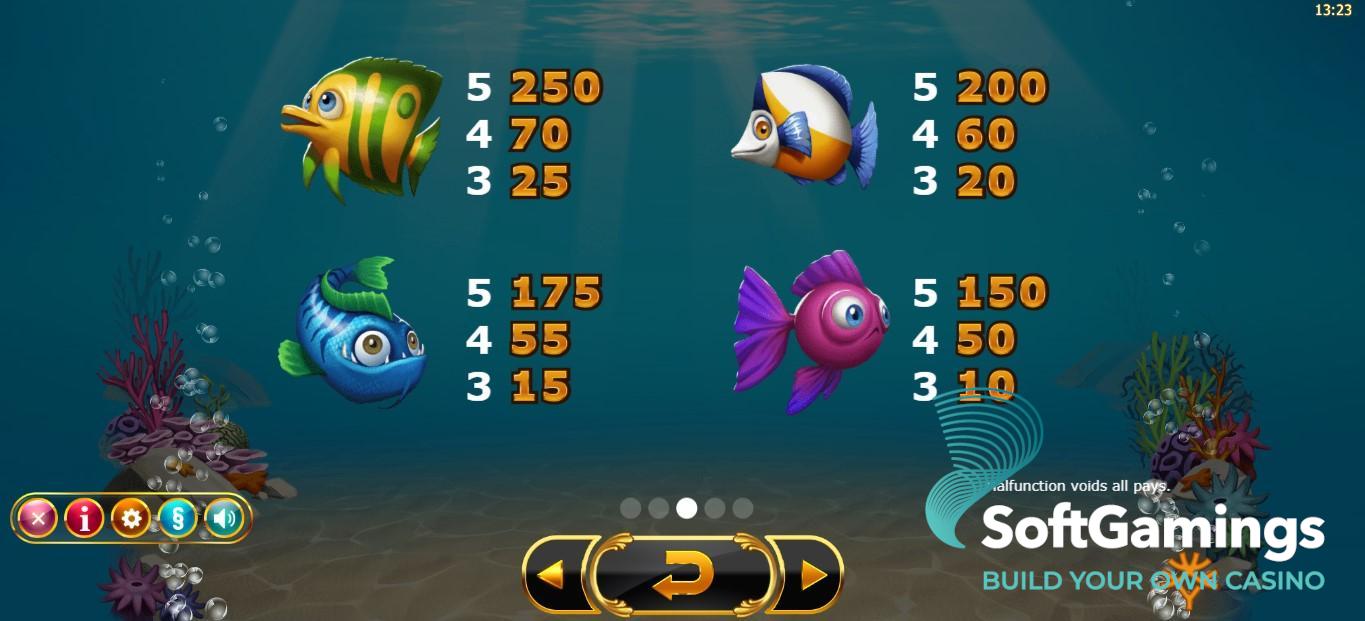 Golden Fish Tank