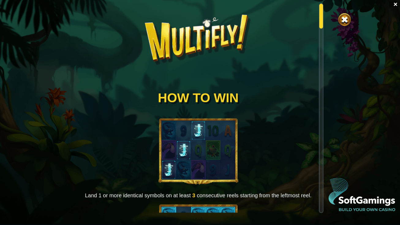 MultiFly!