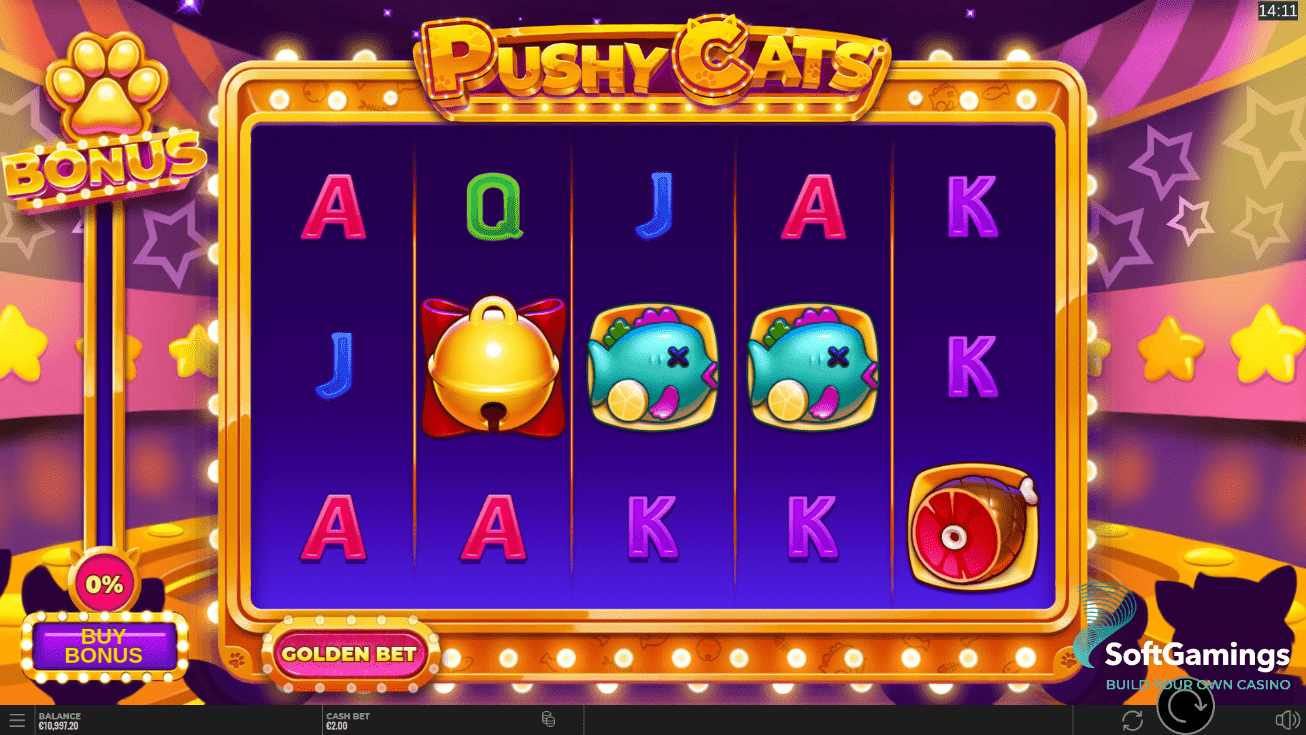 Pushy Cats