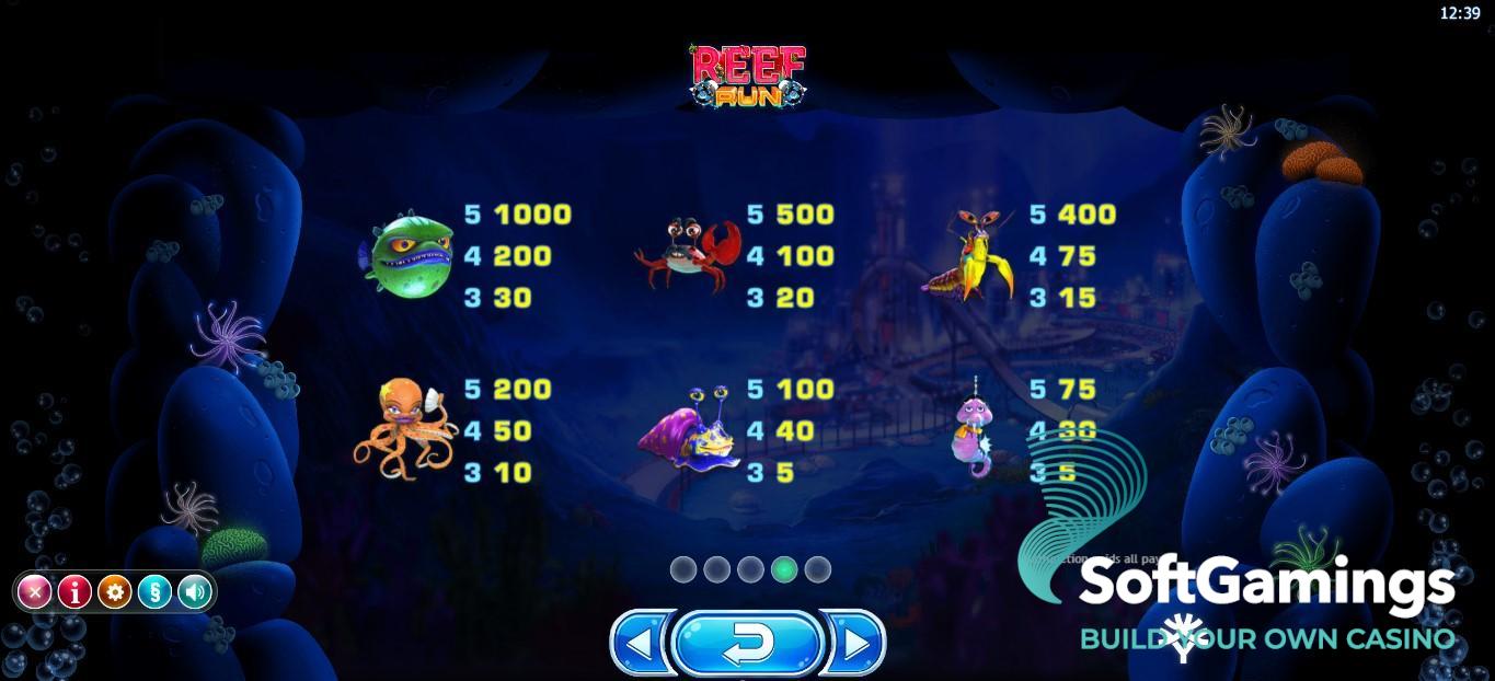Reef Run
