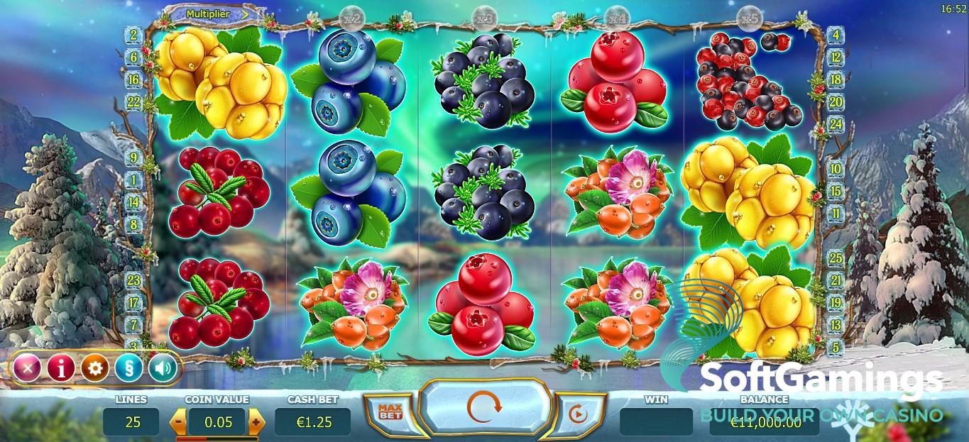 Winterberries